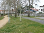 P1000802.JPG